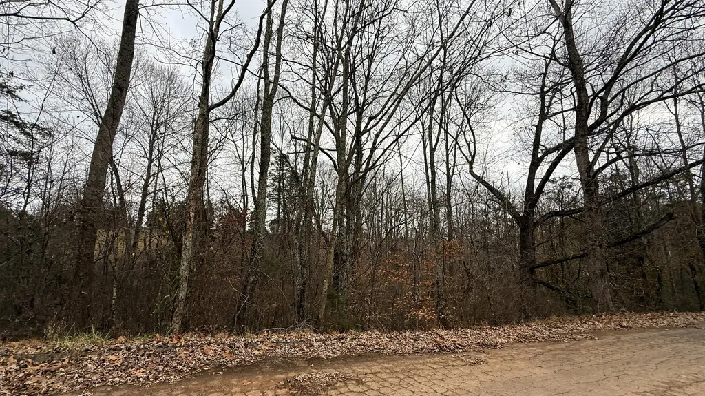 1908 Avalon Drive Somerset KY 42503