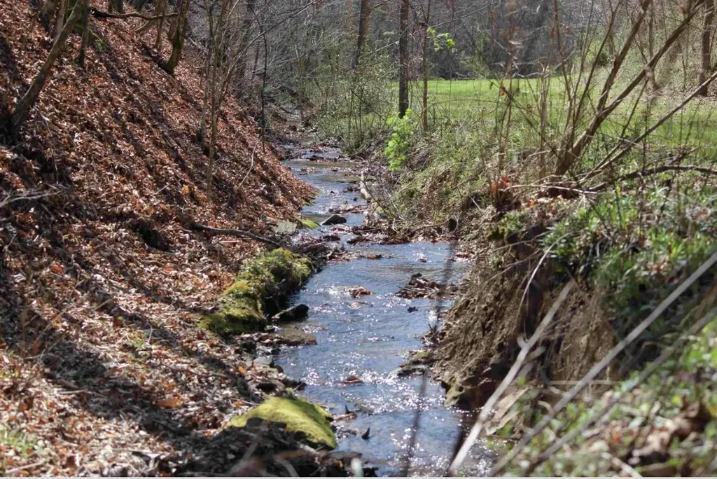 470 Little Bull Creek Road Woollum KY 40906