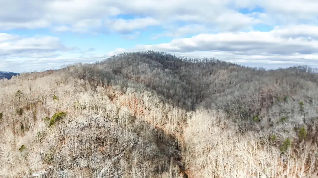470 Little Bull Creek Road Woollum KY 40906
