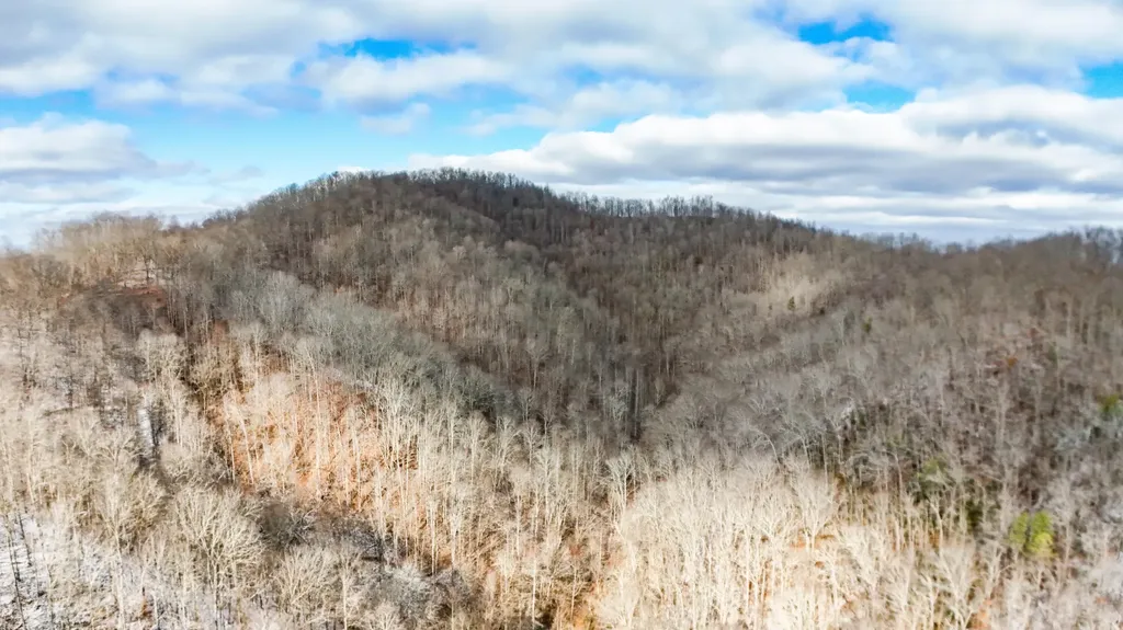 470 Little Bull Creek Road Woollum KY 40906