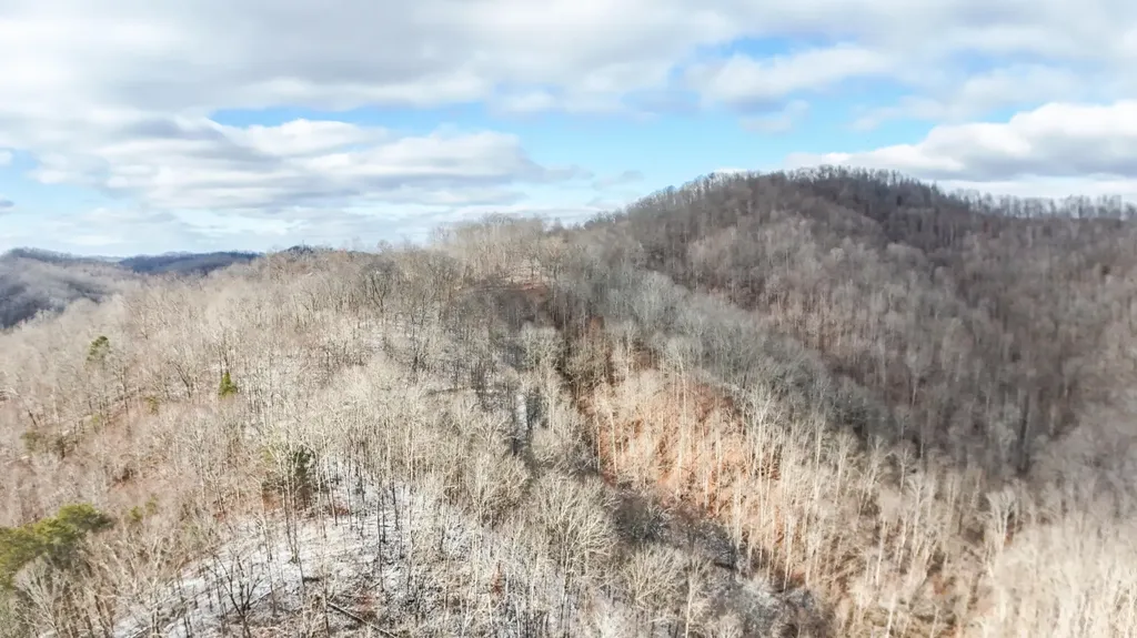 470 Little Bull Creek Road Woollum KY 40906
