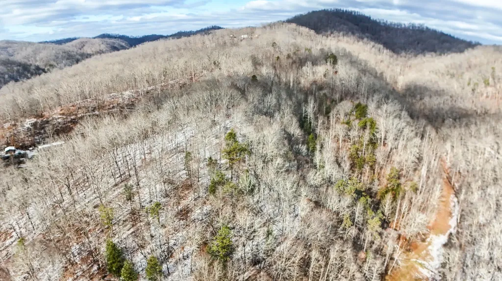 470 Little Bull Creek Road Woollum KY 40906