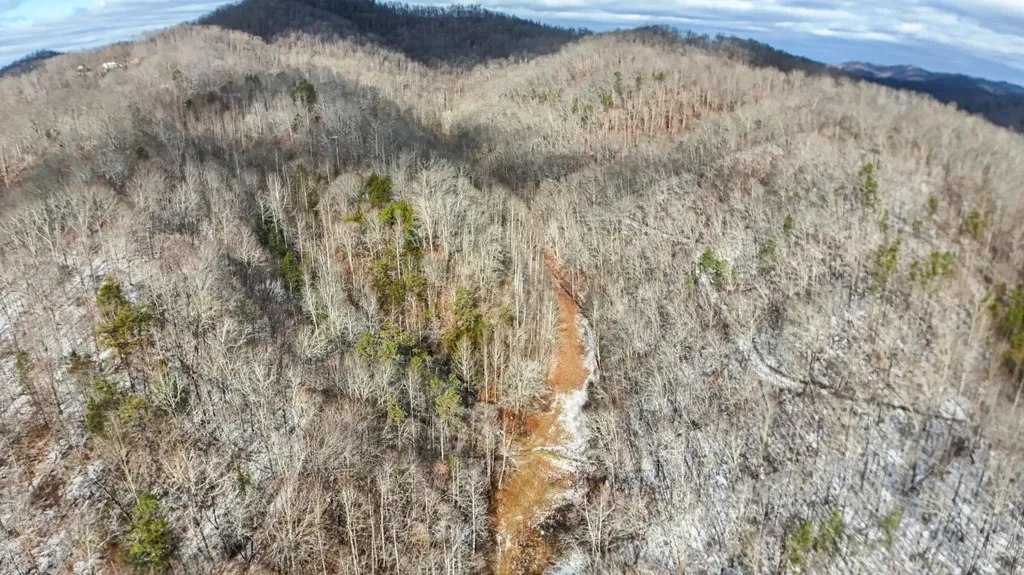 470 Little Bull Creek Road Woollum KY 40906