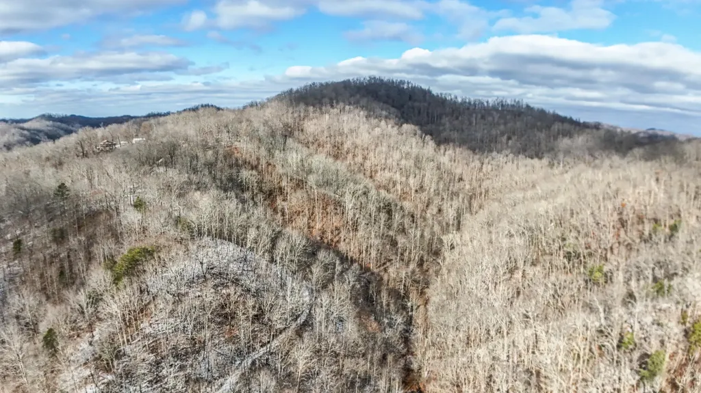 470 Little Bull Creek Road Woollum KY 40906
