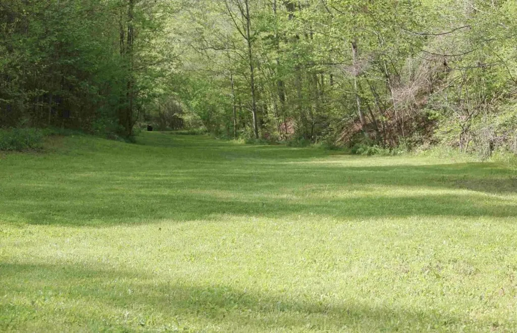 470 Little Bull Creek Road Woollum KY 40906
