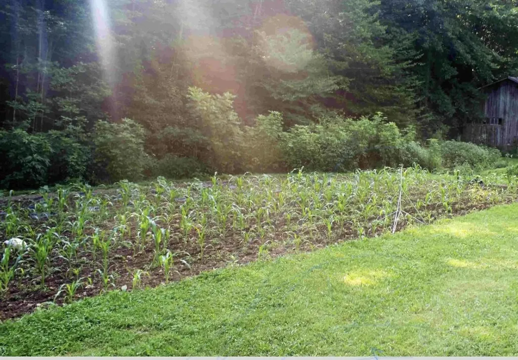 470 Little Bull Creek Road Woollum KY 40906