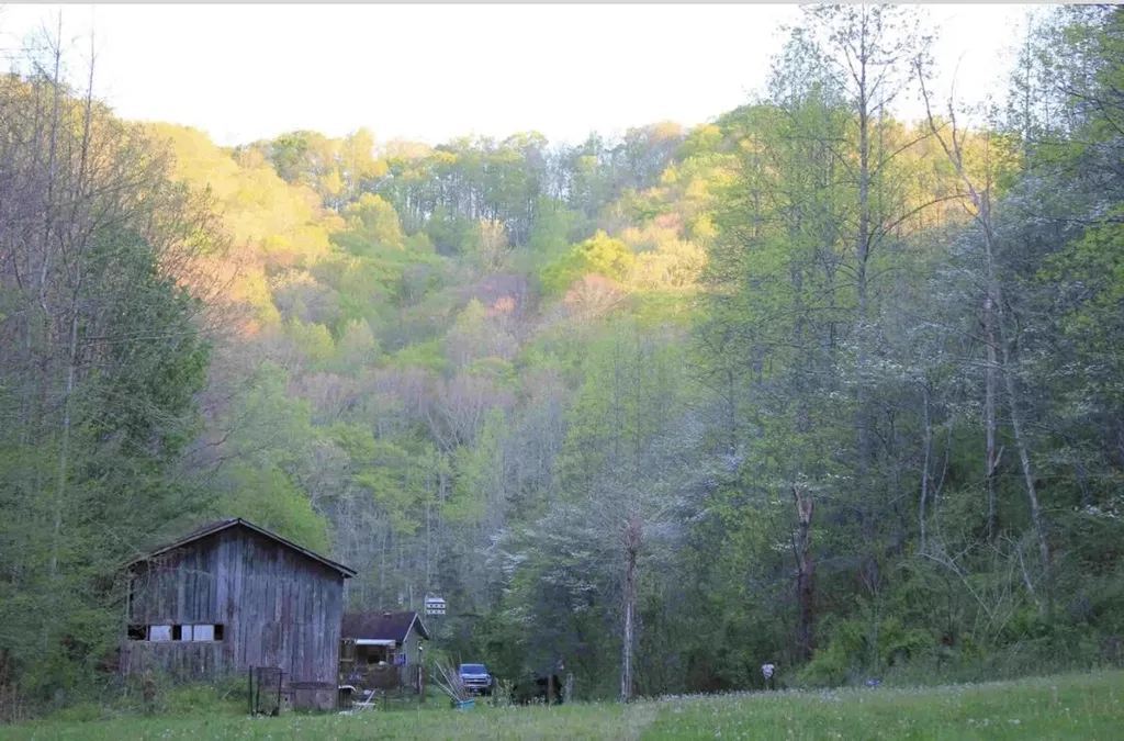 470 Little Bull Creek Road Woollum KY 40906