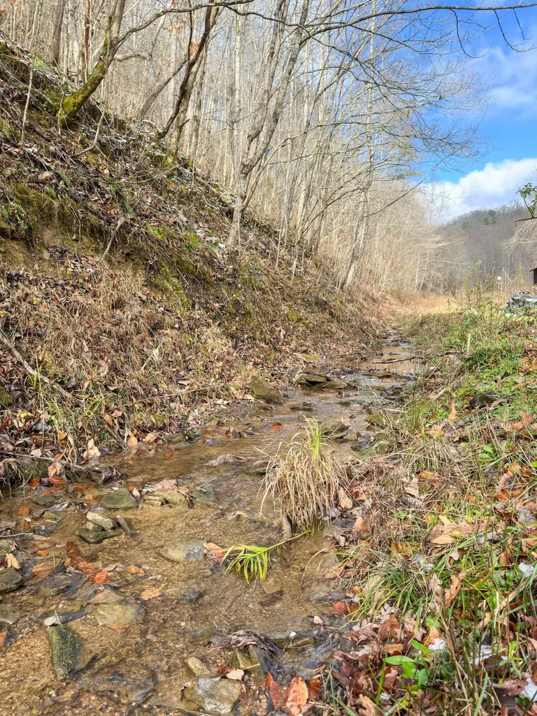 470 Little Bull Creek Road Woollum KY 40906