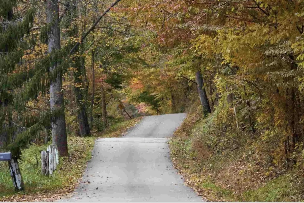 470 Little Bull Creek Road Woollum KY 40906
