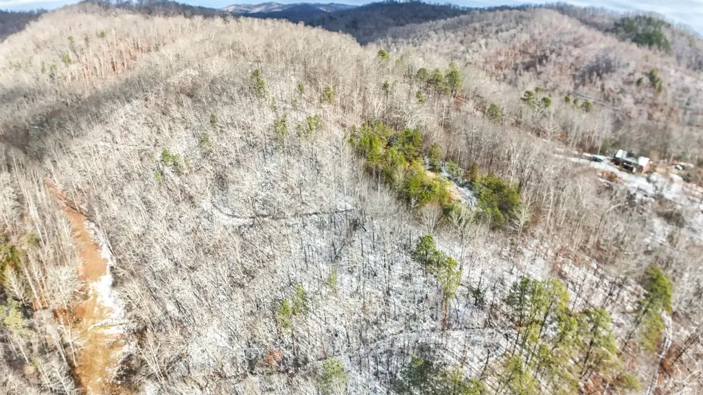 470 Little Bull Creek Road Woollum KY 40906