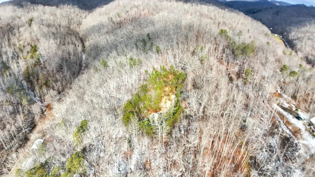 470 Little Bull Creek Road Woollum KY 40906