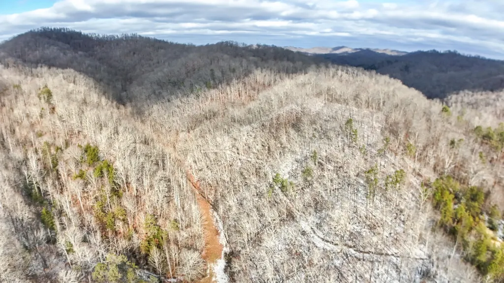 470 Little Bull Creek Road Woollum KY 40906
