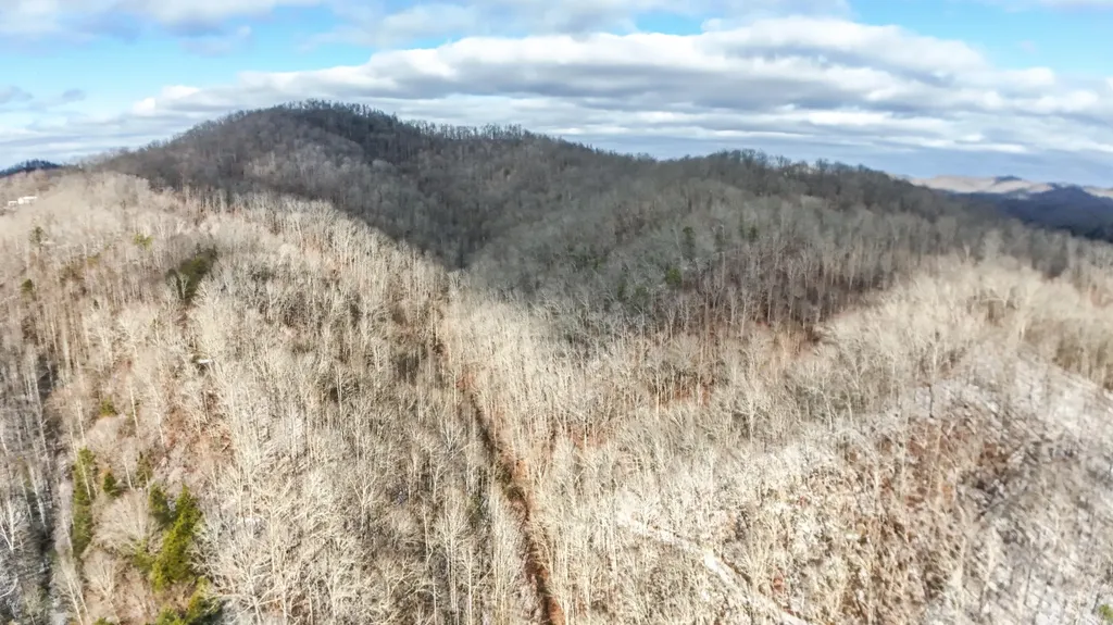 470 Little Bull Creek Road Woollum KY 40906