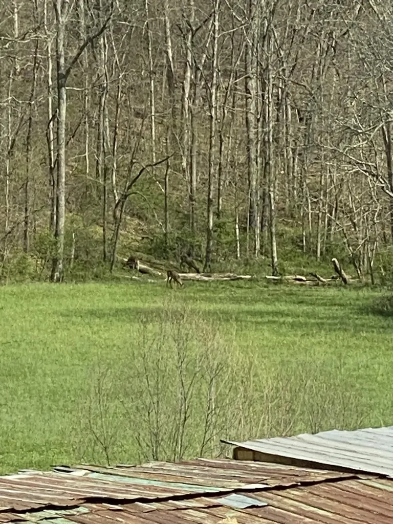 628 Ravens Creek Lane Cynthiana KY 41031