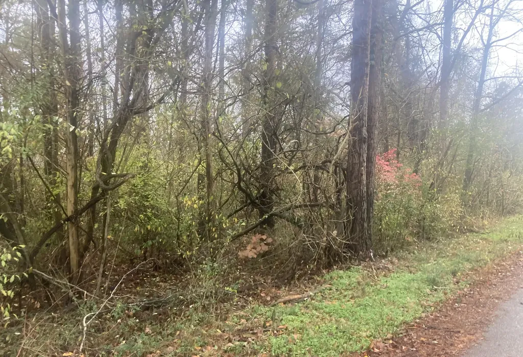 1056 Palisades Court Burnside KY 42519