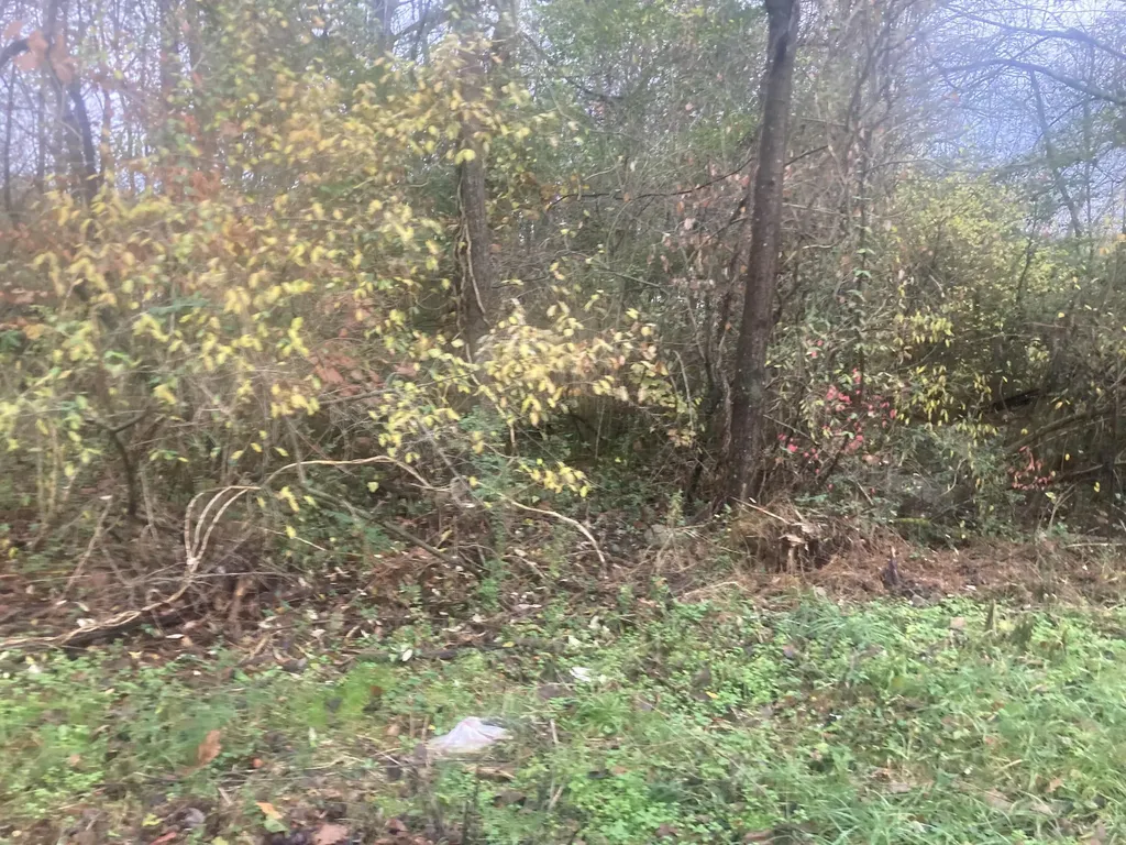 1056 Palisades Court Burnside KY 42519