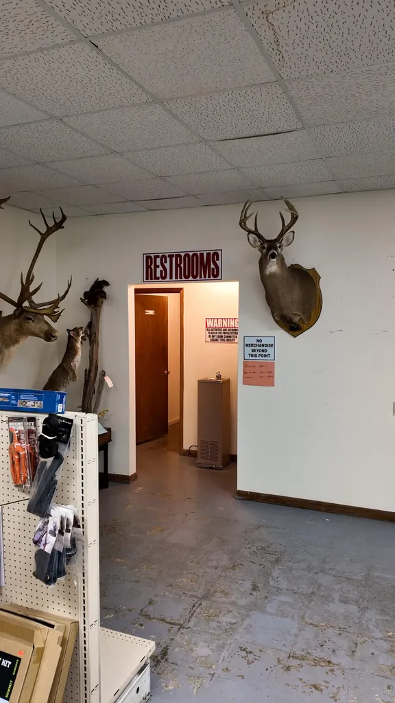 45 Job Corp Road Pine Knot KY 42635