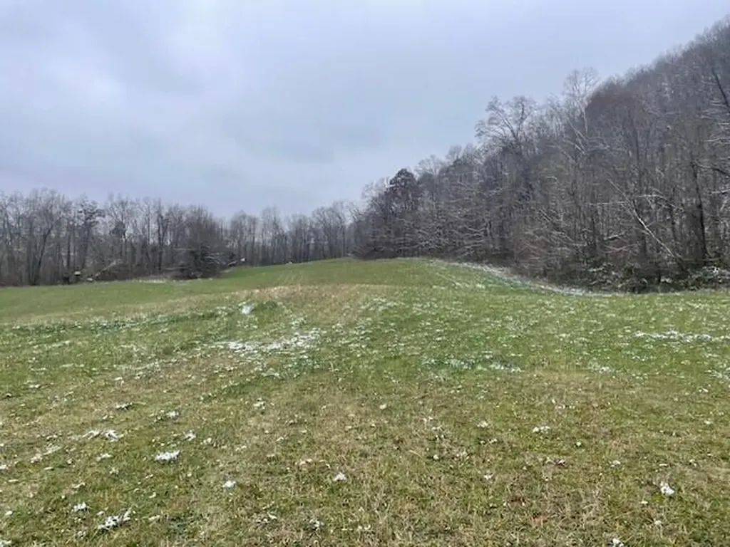 6800 Lower Licking Road Morehead KY 40351