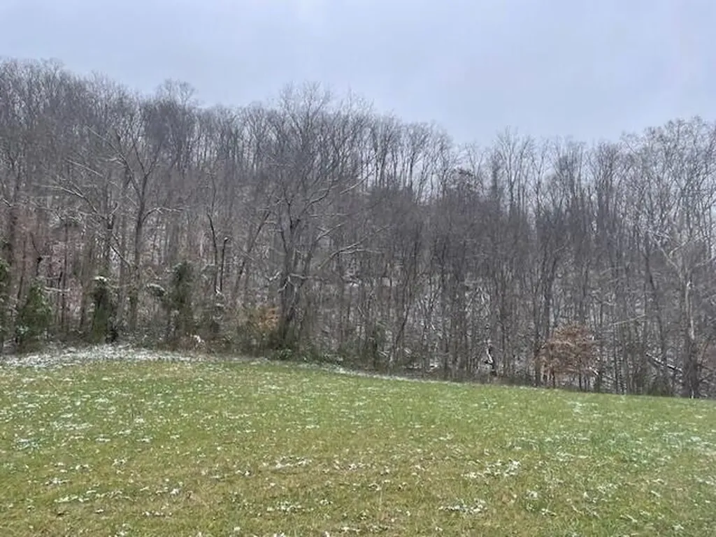 6800 Lower Licking Road Morehead KY 40351