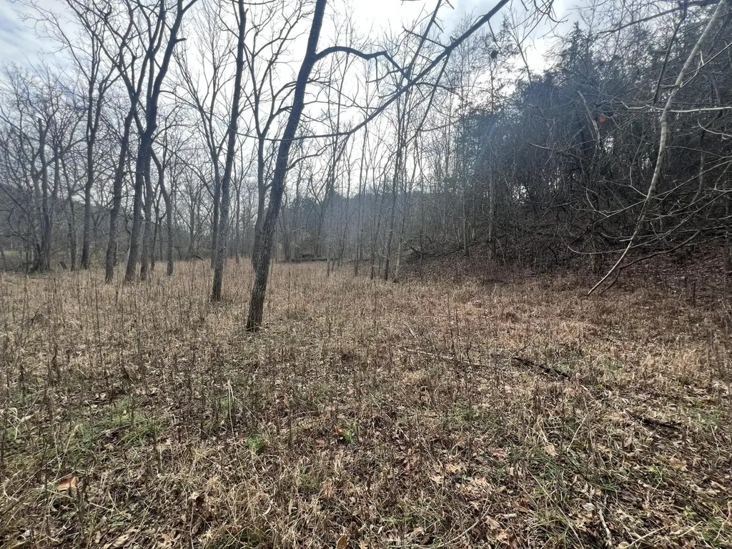 704 Cardwell Road Harrodsburg KY 40330