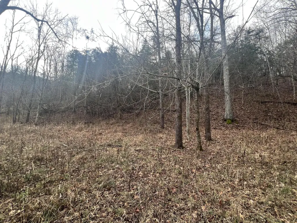 704 Cardwell Road Harrodsburg KY 40330