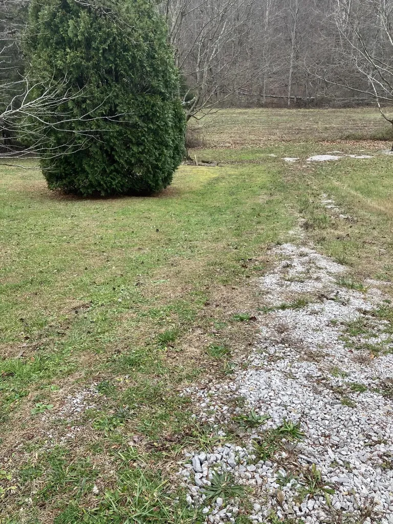 7619 Hawkins Branch Road Frenchburg KY 40322