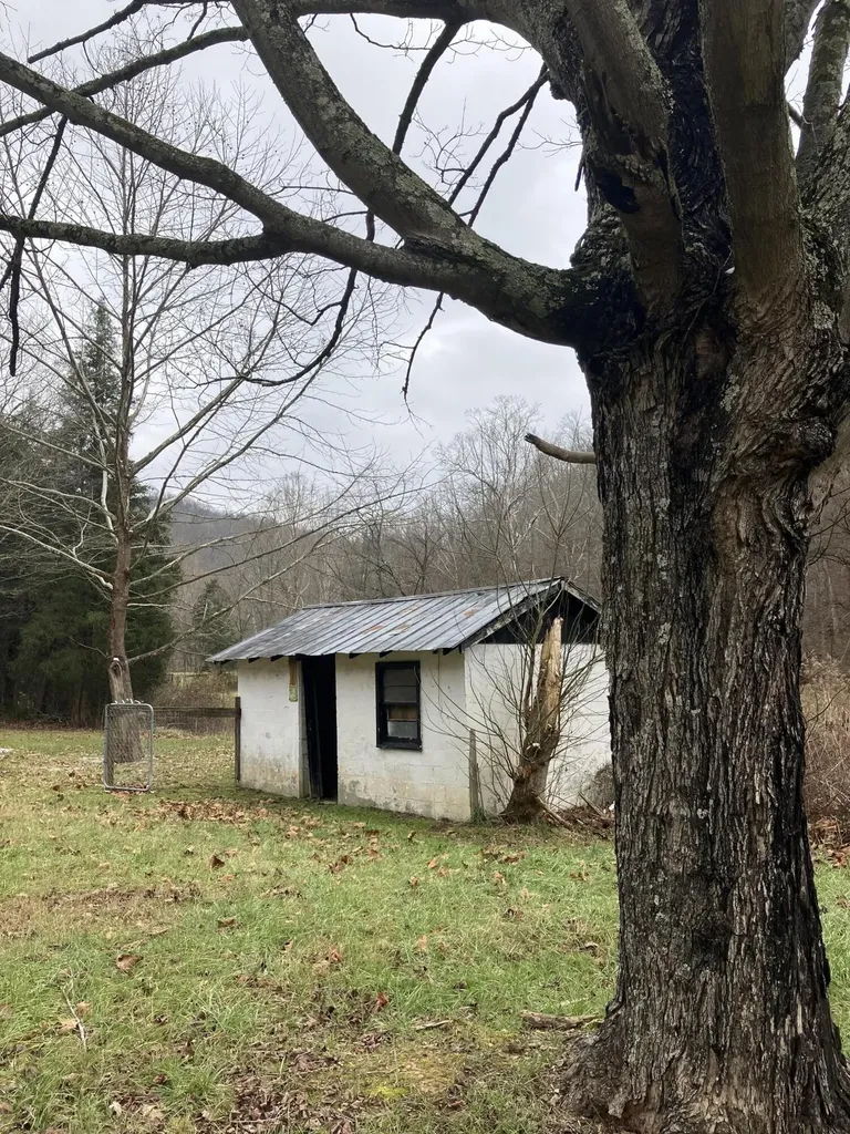 7619 Hawkins Branch Road Frenchburg KY 40322