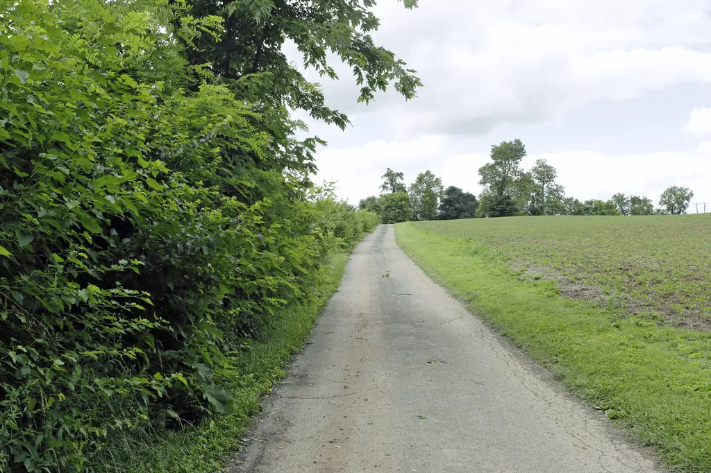 2600 Paynes Mill Road Versailles KY 40383