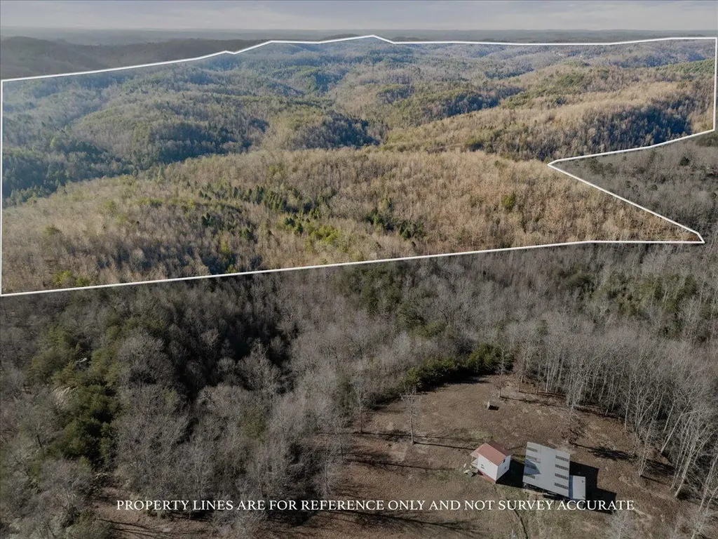3550 River Road Williamsburg KY 40769