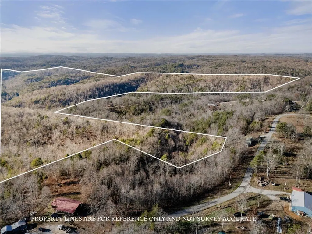 3550 River Road Williamsburg KY 40769