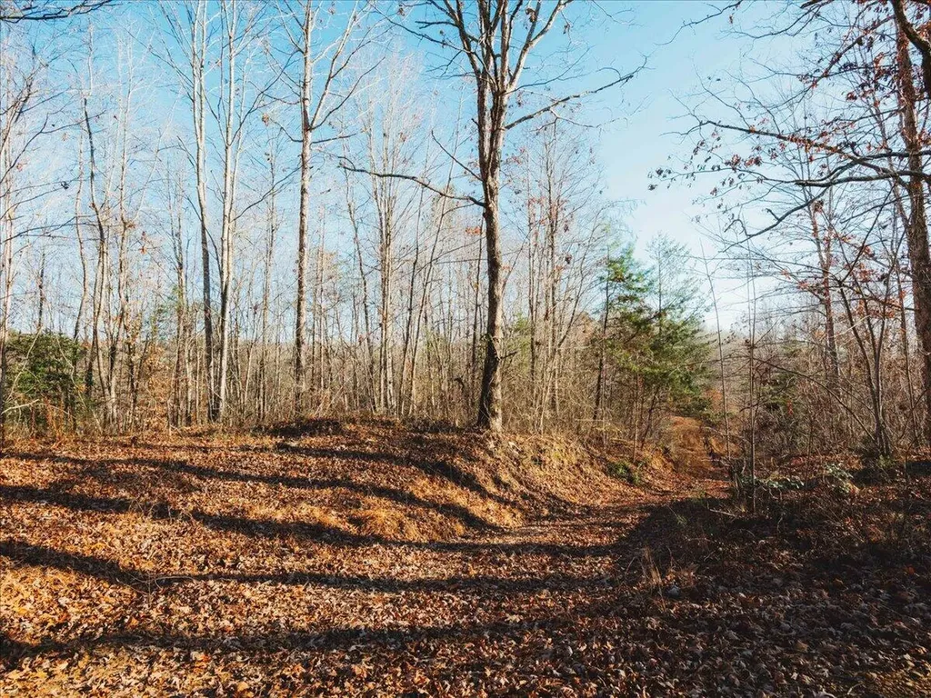 3550 River Road Williamsburg KY 40769