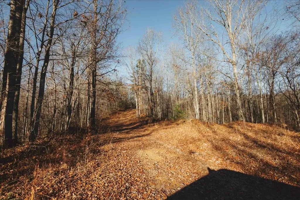 3550 River Road Williamsburg KY 40769