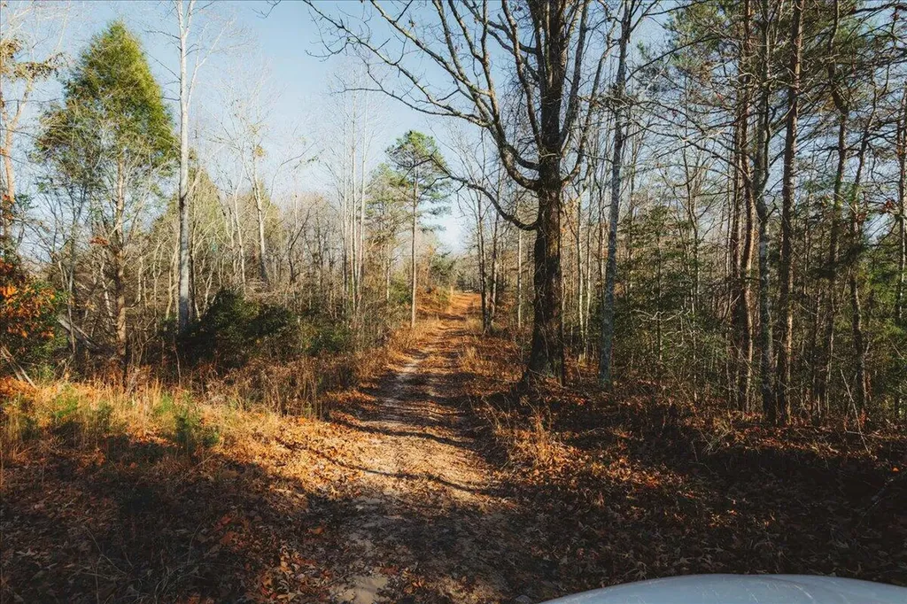 3550 River Road Williamsburg KY 40769