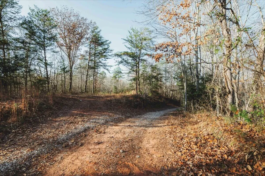 3550 River Road Williamsburg KY 40769