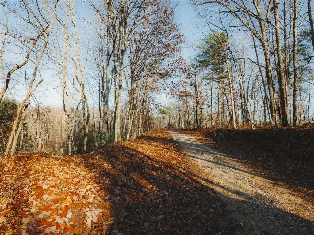 3550 River Road Williamsburg KY 40769