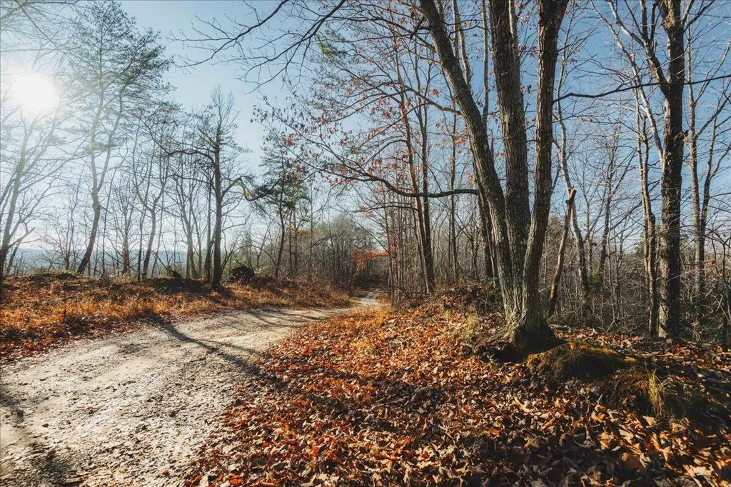 3550 River Road Williamsburg KY 40769