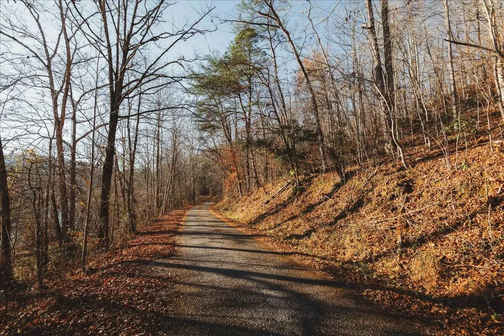 3550 River Road Williamsburg KY 40769
