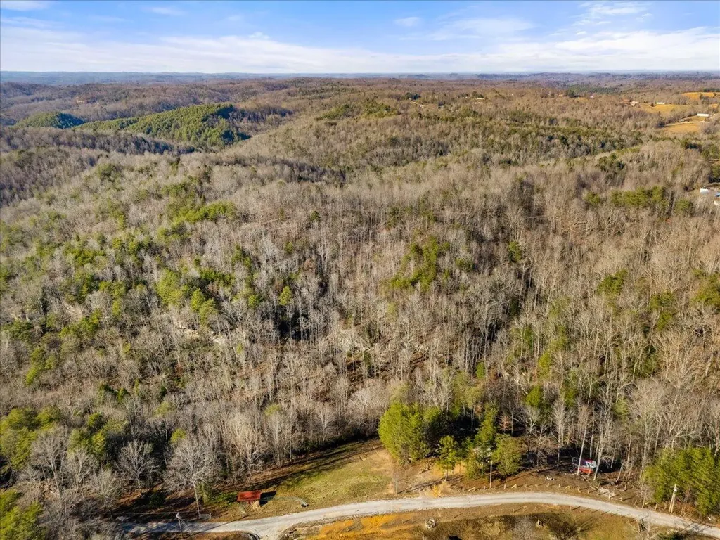 3550 River Road Williamsburg KY 40769