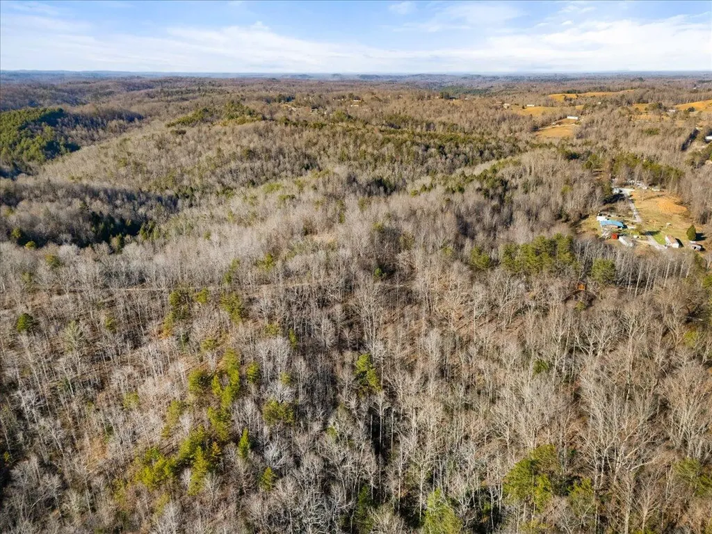 3550 River Road Williamsburg KY 40769