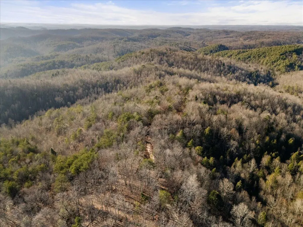 3550 River Road Williamsburg KY 40769