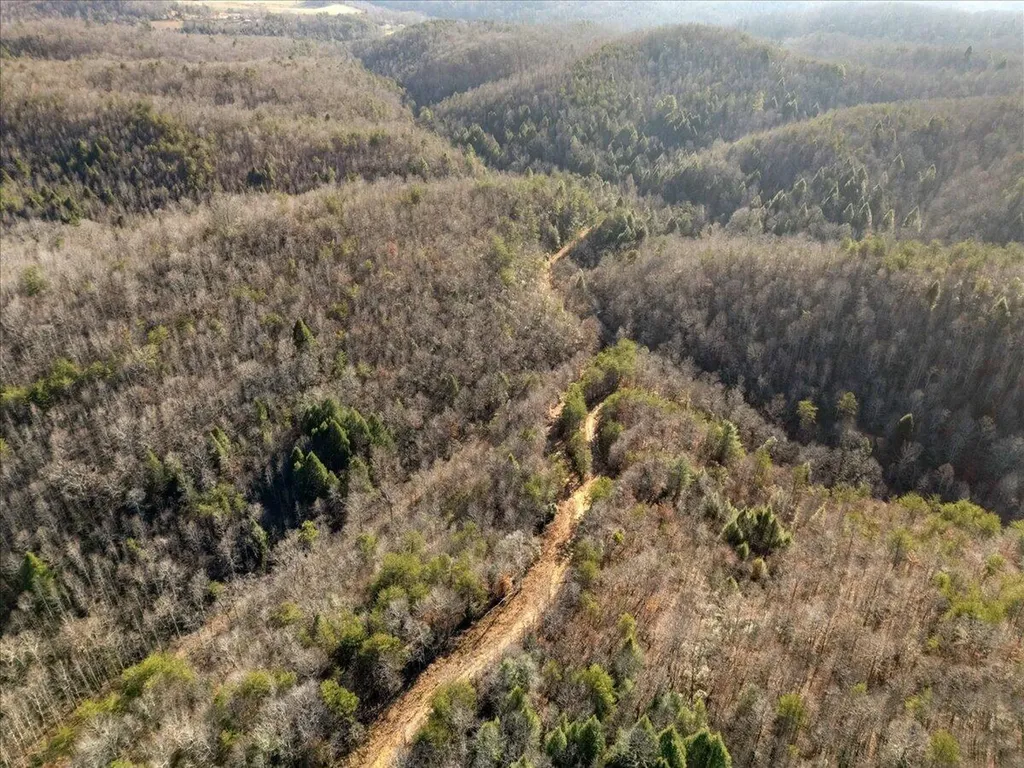 3550 River Road Williamsburg KY 40769