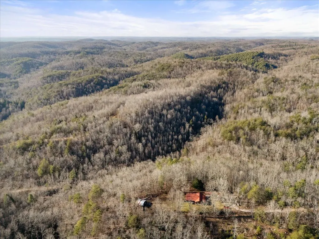 3550 River Road Williamsburg KY 40769