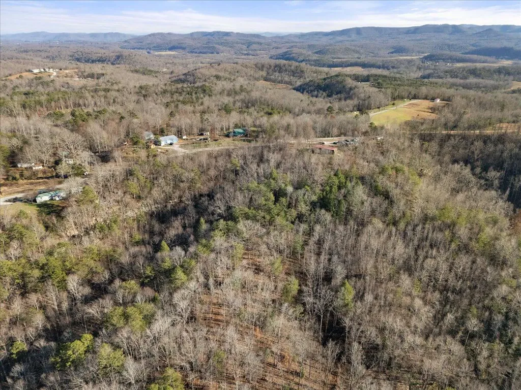 3550 River Road Williamsburg KY 40769