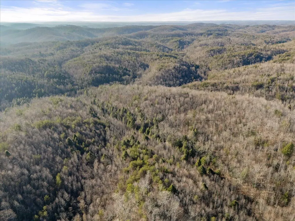 3550 River Road Williamsburg KY 40769