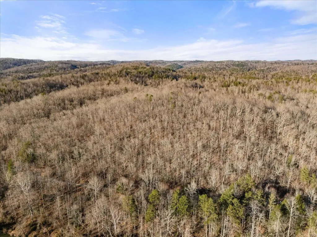 3550 River Road Williamsburg KY 40769