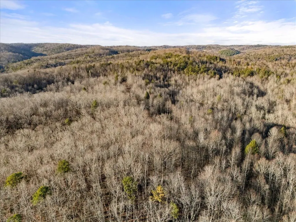 3550 River Road Williamsburg KY 40769