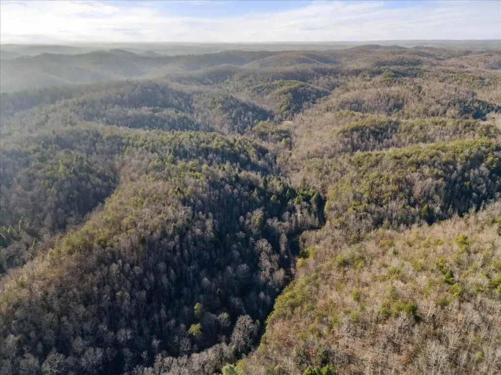 3550 River Road Williamsburg KY 40769