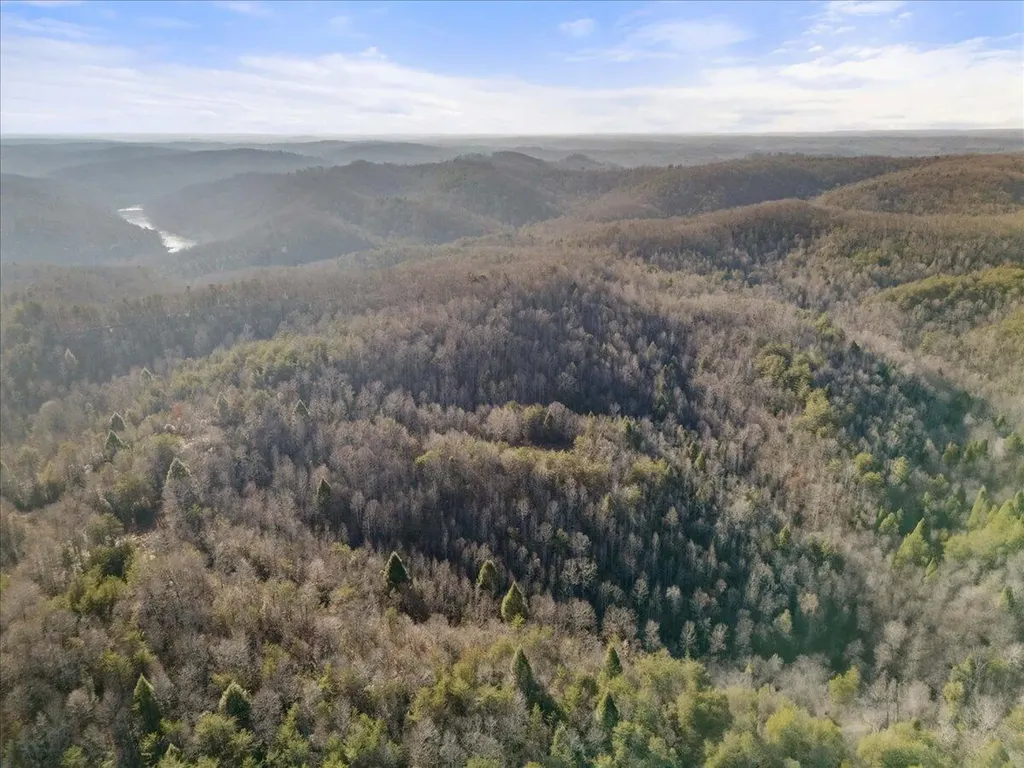 3550 River Road Williamsburg KY 40769