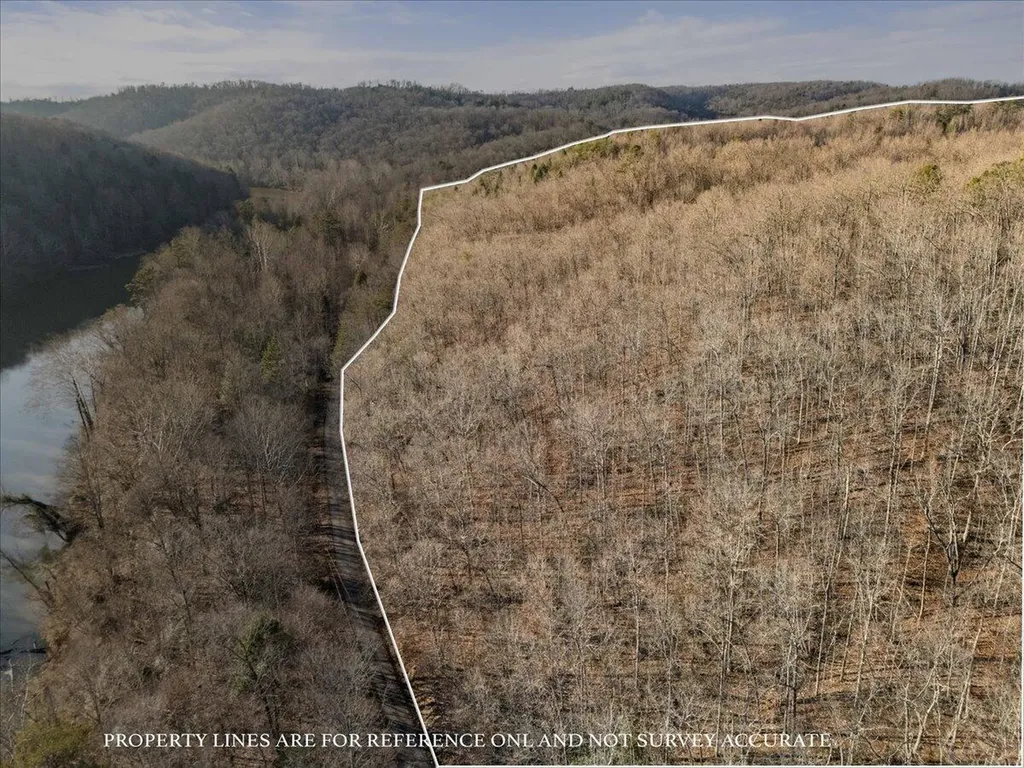 3550 River Road Williamsburg KY 40769