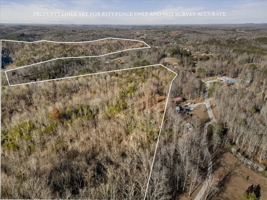 3550 River Road Williamsburg KY 40769